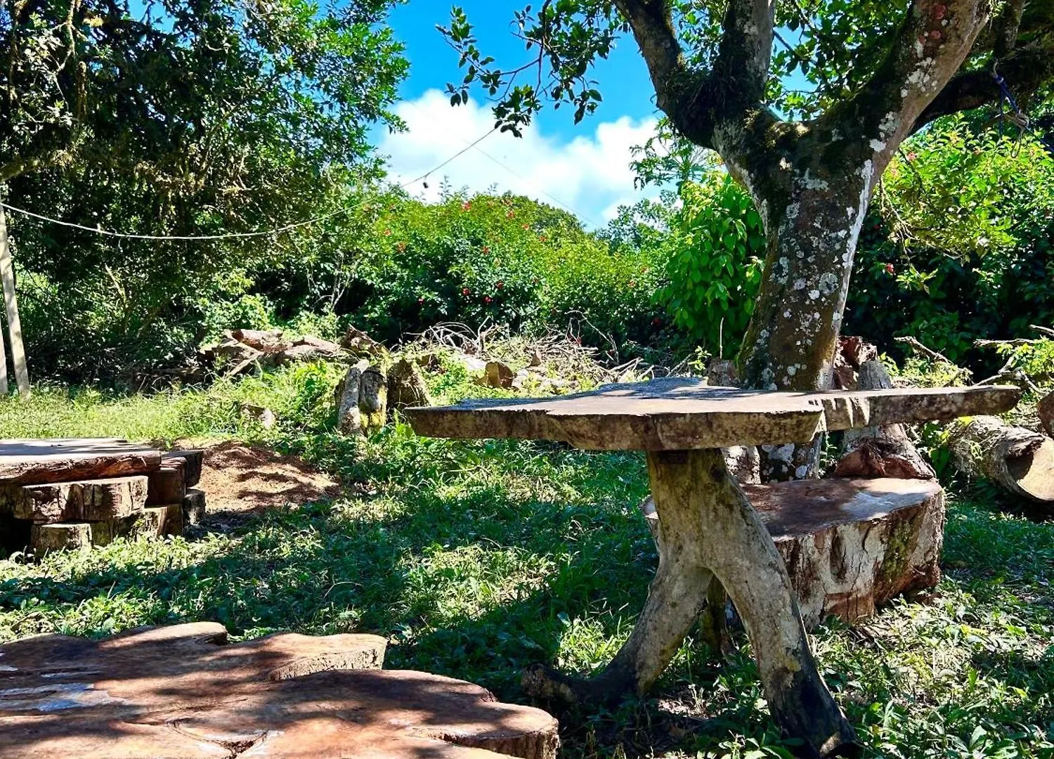 Amancay House Bed & Breakfast San Cristobal